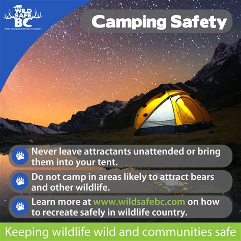 Wildsafe Camping Tips Backcountry 01 Wildsafebc