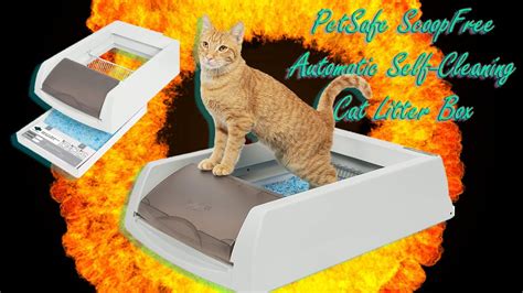 🤪petsafe Scoopfree Smart Automatic Self Cleaning Cat Litter Box🤩review