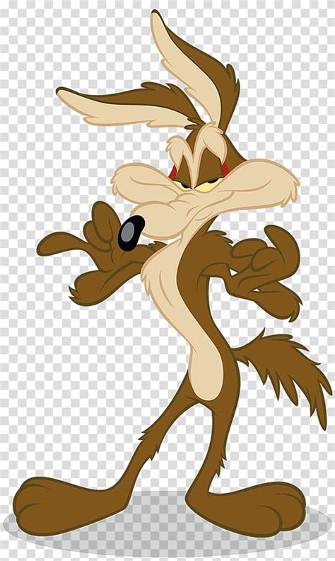 Looney Tunes Character Wile E Coyote And The Road Runner Looney Tunes