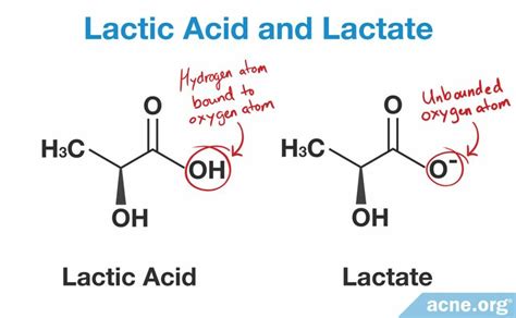 What Are The Chemical Structure Of Lactic Acid And Lactate And How Is