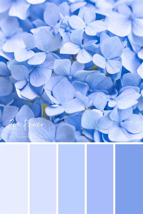 Available file formats are pdf, adobe swatch (ase) and photoshop swatch (aco). Pin on Colour palette