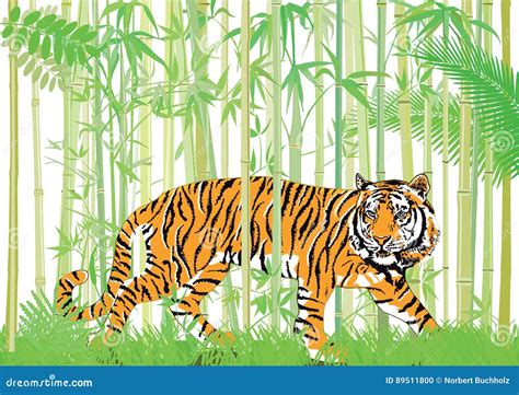 Tiger In The Jungle Stock Vector Illustration Of Color 89511800