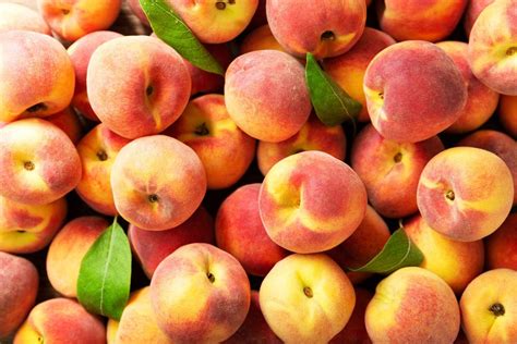 Natures Juicy Superfood 5 Amazing Benefits Of Peaches
