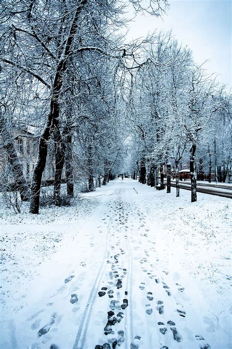 Winter Snow Nature Trees Road Outdoors Hd Phone Wallpaper Peakpx