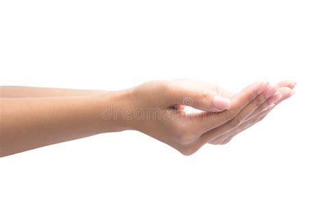 Close Up Of Beautiful Woman Hands Palms Up Stock Photo Image Of