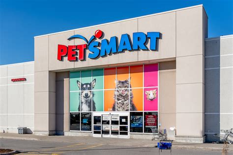Pet supplies plus is your local pet store carrying a wide variety of natural and. What Does It Mean to Surrender a Dog? - Rehome by Adopt-a ...
