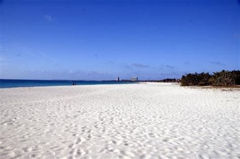 Sunset Picture Of Palm Eagle Beach Aruba Tripadvisor