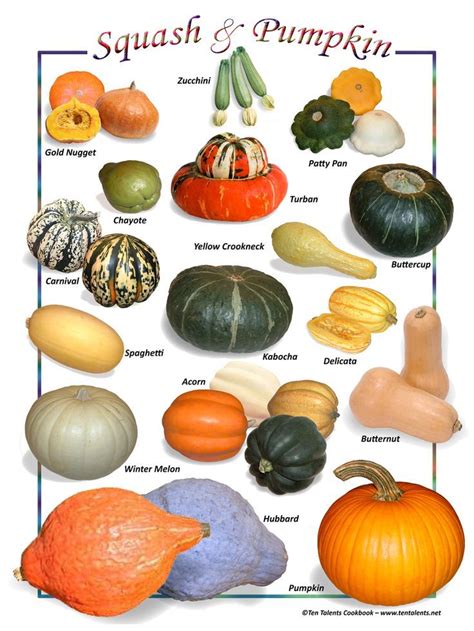 Name Types Of Gourds Chart