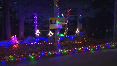 Southwicks Zoo Annual Drive Thru Holiday Lights Celebration Underway