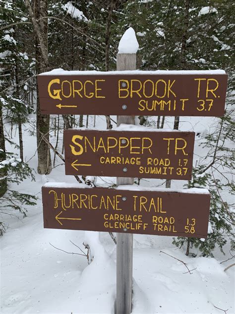 Jcxc Mount Moosilauke Ski Tour Via Gorge Brook Carriage Road Snapper