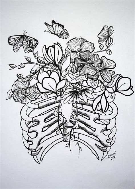 Structure of a typical rib: rib cage #illustration | Rib cage drawing, Ribcage tattoo ...