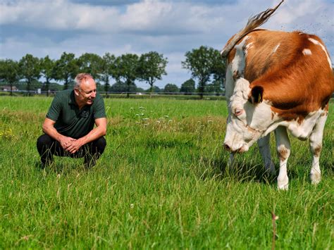 Ik Zie Positieve Veranderingen In Het Gras