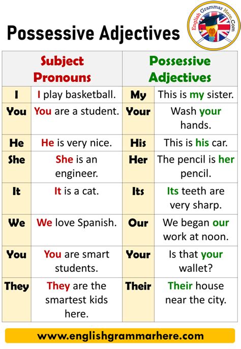 English Using Possessive Adjectives Definition And Example Sentences