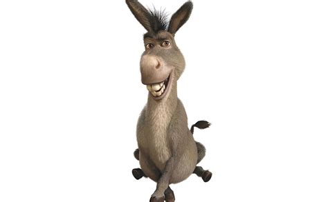 Donkey From “shrek” Modern Farmer