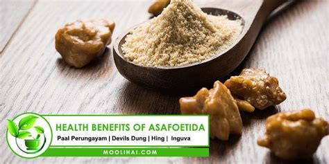 31 Possible Benefits Of Ferula Asafoetida For Health Skin And Hair