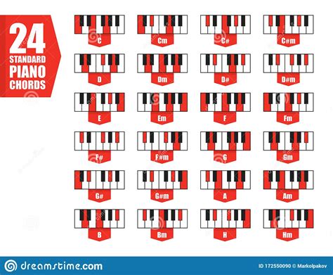 Set 24 Standard Piano Chords Flat Vector Illustration Stock Vector