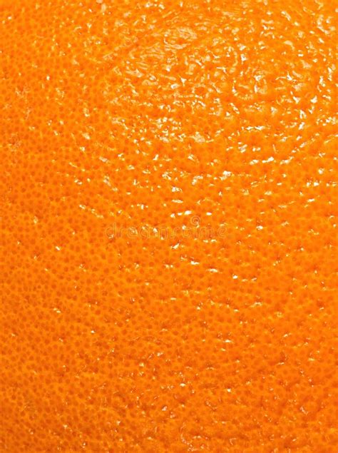 Texture Of Orange Peel Stock Image Image Of Cellulite 45565799