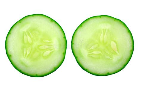 Fresh Cucumber Slice Stock Image Image Of Isolated Cross 24229433