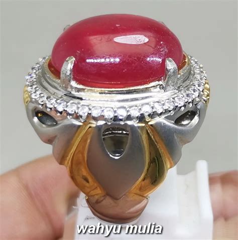 We did not find results for: Batu Akik Merah Delima Ruby Size Kantoran Asli Kode 2039 ...