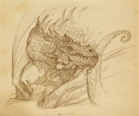 The Modern Dragon Muddy Colors Creature Concept Art Dragon Sketch