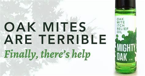 Finally Relief From Oak Mite Itch Bites You Can Fight Oak Mites