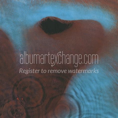 Album Art Exchange Meddle By Pink Floyd Album Cover Art