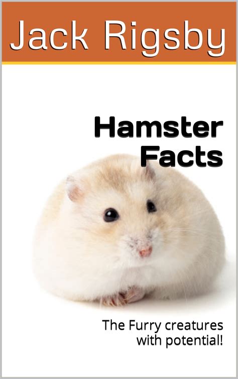 Hamster Facts The Furry Creatures With Potential By Jack Rigsby