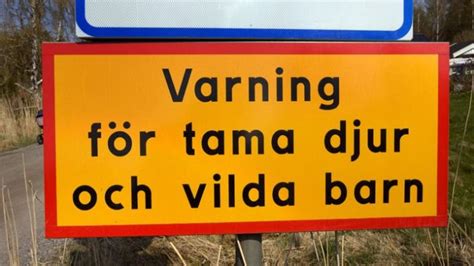 Pin På Funny Signs