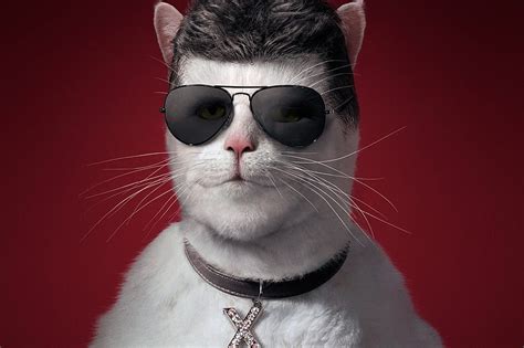 Free Download Funny Cat Red Luminos Black Cat Animal Sunglasses