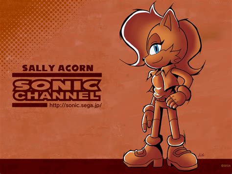Pin By Calum Macpherson On Sonic The Hedgehog Sally Acorn Sonic Fan