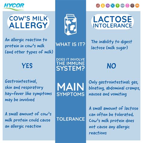 Could It Be Cows Milk Allergy The Difference Between Lactose