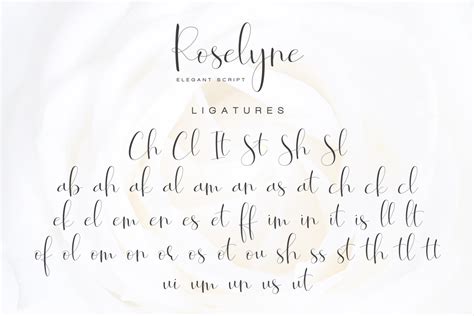 Calligraphy Elegant Script Fonts