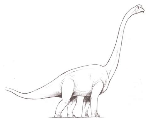 How To Draw Brachiosaurus With A Pencil Step By Step Drawing Tutorial