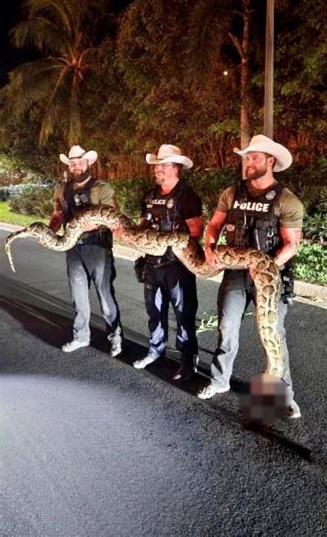Jacksonville Sheriff’s Office assists Collier County with invasive 14
