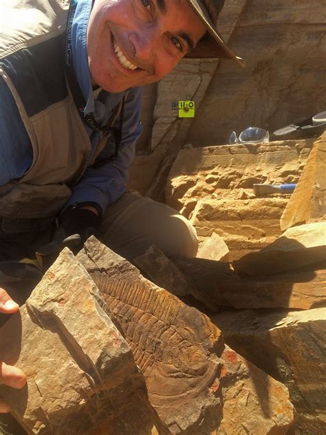 Fossilised ‘giant Discovered On Kangaroo Island Environment