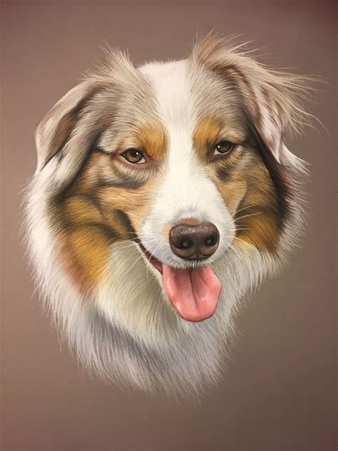 Pencil Drawing Color Dog Drawing Dog Drawing Simple Dog Paintings