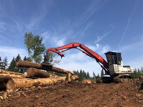 Oregon Logging Services | Rieger Professional Loggers