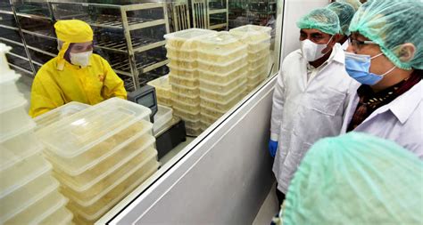 Walet mmtc medan / tingkatkan daya saing industri, bea cukai fasilitasi ekspor | republika onl… Walet Mmtc Medan / Ekspor Camilan Singkong Dan Sarang ...
