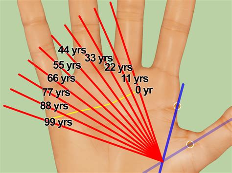 How To Calculate The Age Of A Person Using Palmistry 9 Easy Steps
