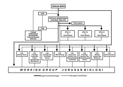 Organization Structure Department Of Biology