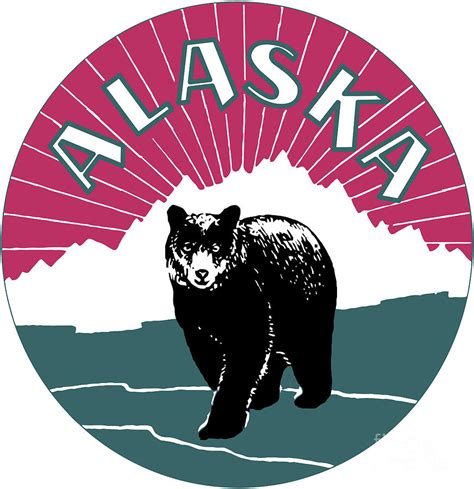 Alaska Travel Black Bear Digital Art By Heidi De Leeuw Fine Art America