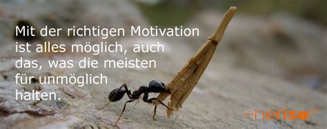 Motivation ist ein wesentlicher aspekt von gesundheitskompetenz. Motivation | Motivationstraining
