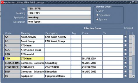 Defining Item Types Oracle Erp Apps Guide