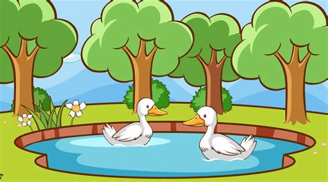 Scene With Ducks In The Pond Vector Art At Vecteezy