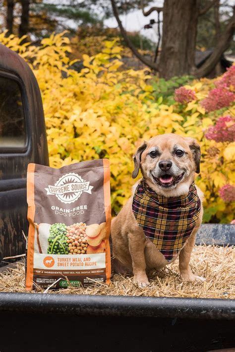 Real meat is always the first ingredient providing a great taste and protein your dog or cat will love. Supreme Source Dog Food Is As Real As Can Be - Daily Dog ...