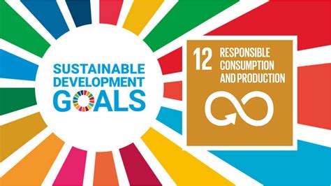 Sustainable Development Goal 12 Responsible Consumption And Production