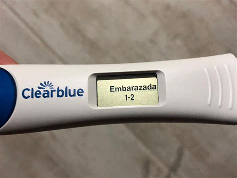 ⊛ Línea De Evaporación En El Test De Embarazo 【guía】 ️