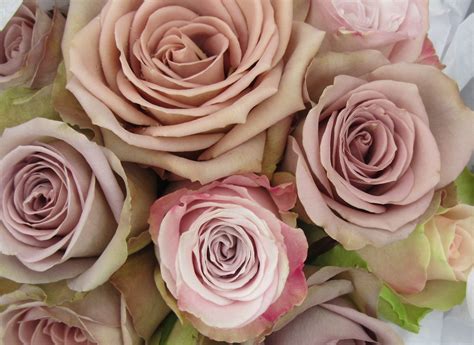 You can make your entire bouquet contain orange flowers, or you can add different colored flowers too. Amnesia and Faith Roses in a Wedding Bouquet | Suzanne ...