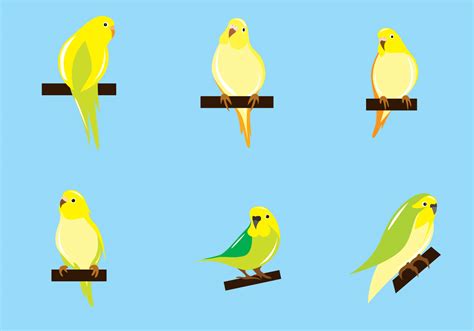 Budgie Vector Download Free Vector Art Stock Graphics And Images