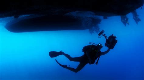 Free Stock Photo Of Diver Ocean Person